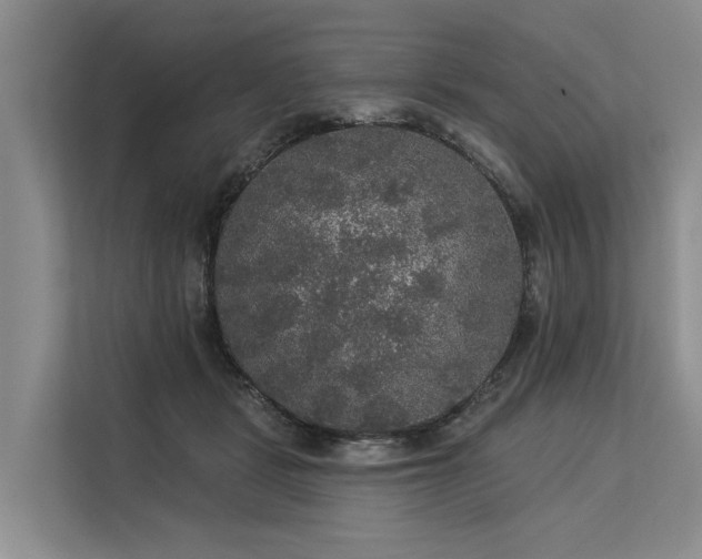 X0000113550461200909181203