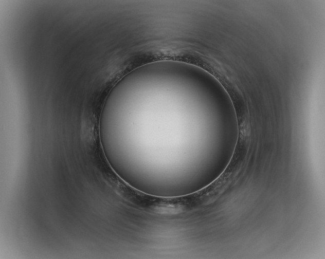 X0000113550464200909181203