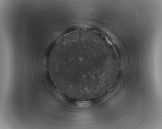 X0000113550465200909181203