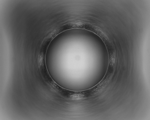 X0000113550468200909181203