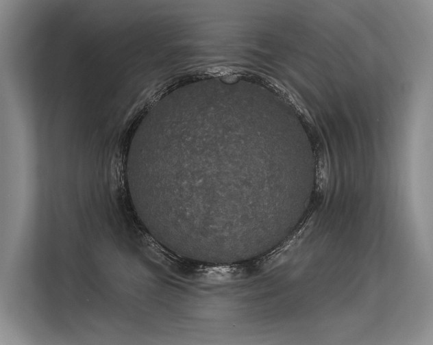 X0000113550473200909181203