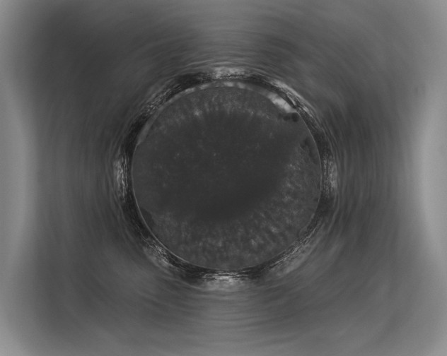 X0000113550475200909181203