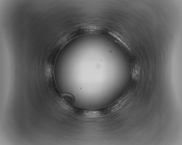 X0000113550476200909181203