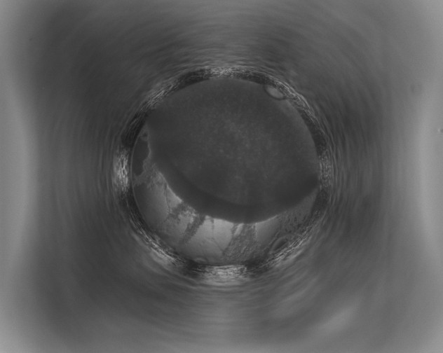 X0000113550479200909181203