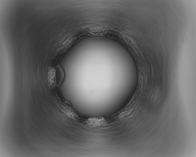 X0000113550480200909181203