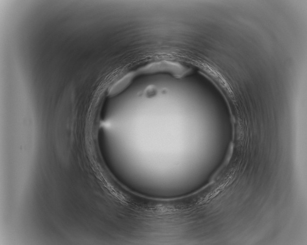 X0000113550481200909181202