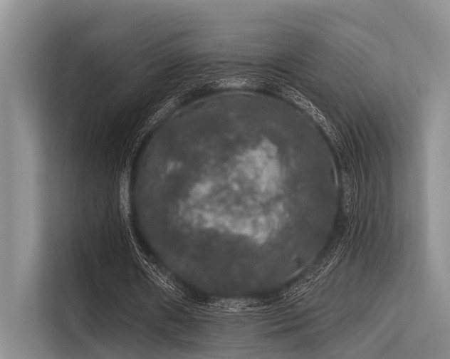 X0000113550482200909181202