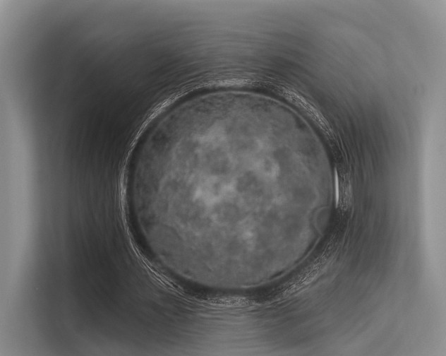 X0000113550483200909181202