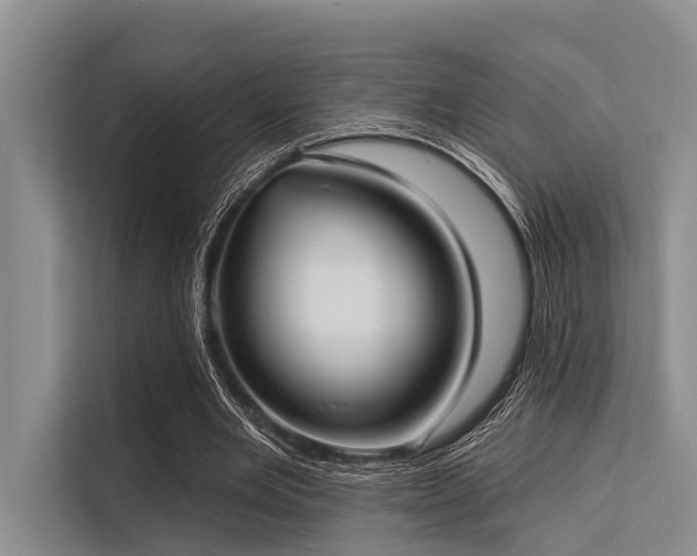 X0000113550485200909181202