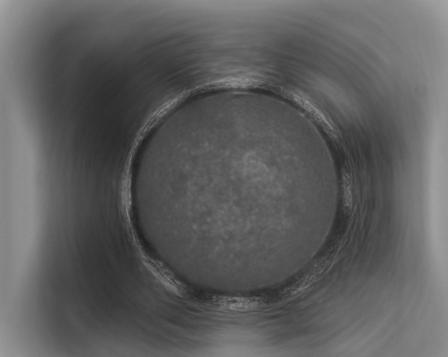 X0000113550486200909181202