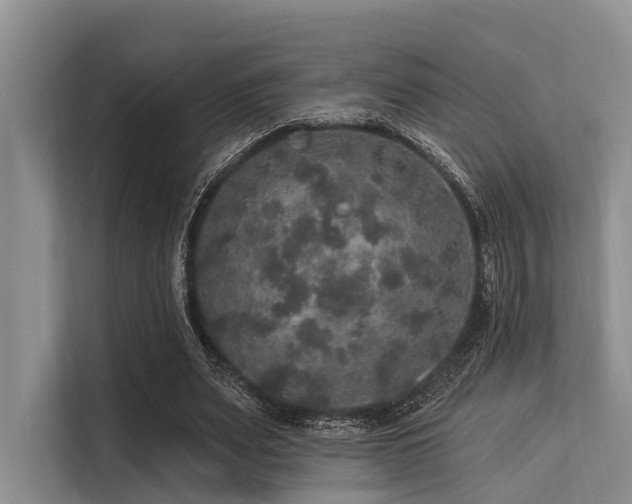 X0000113550487200909181202