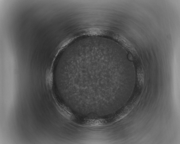 X0000113550488200909181202