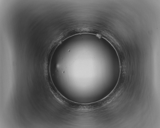 X0000113550489200909181202