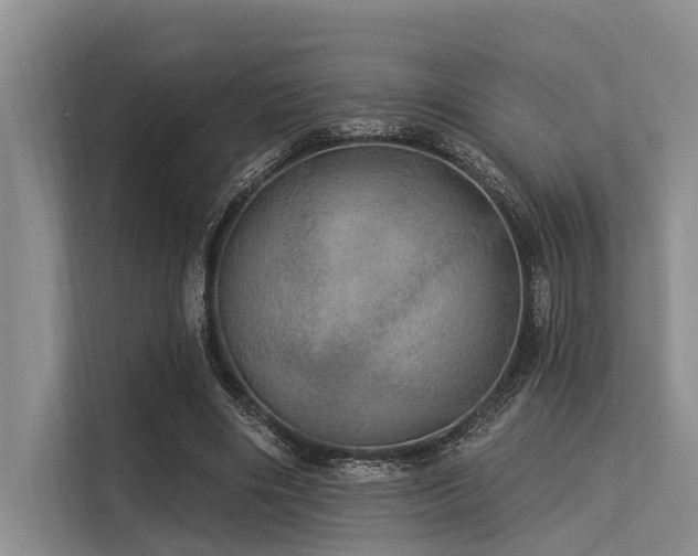 X0000113550490200909181202