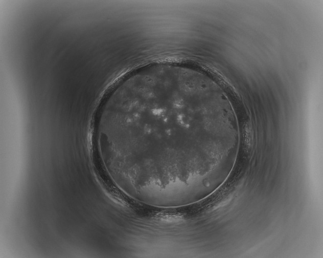 X0000113550491200909181202