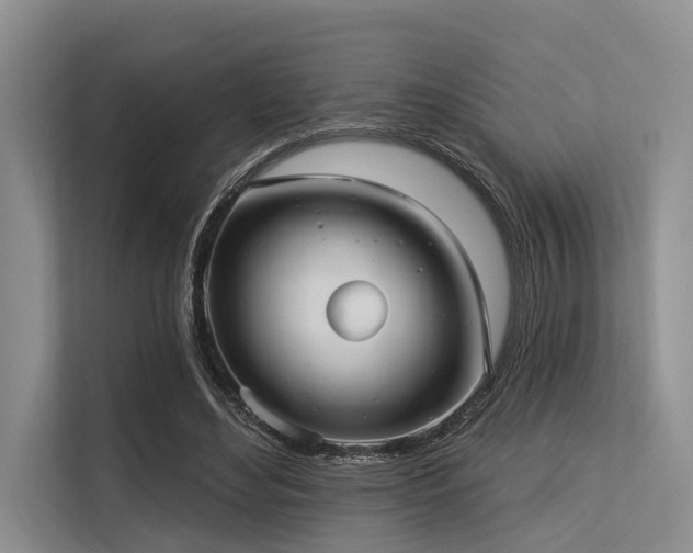 X0000113550492200909181202