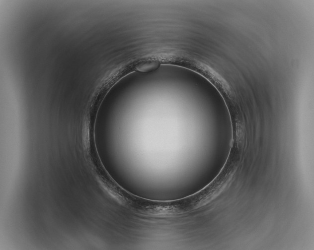 X0000113550493200909181202