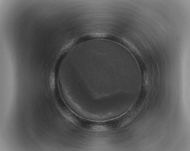 X0000113550494200909181202