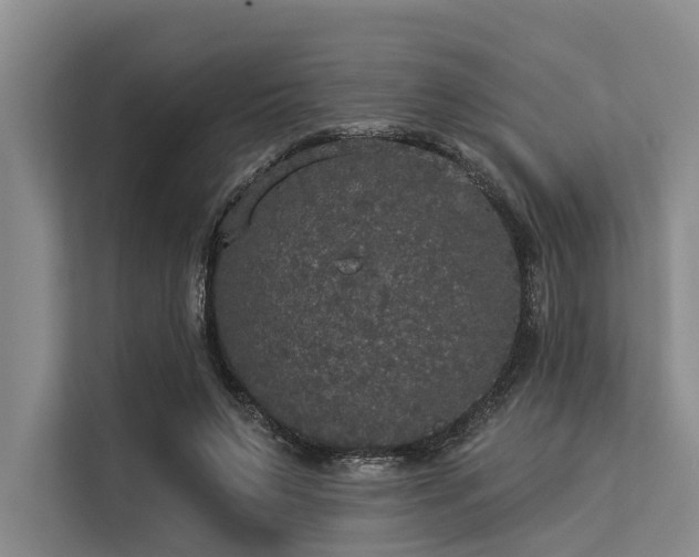 X0000113550495200909181202