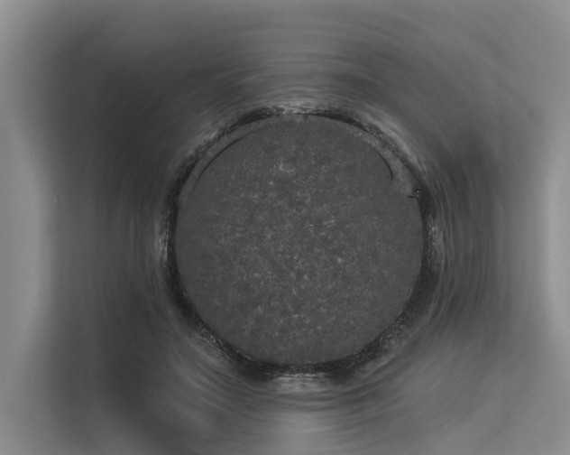 X0000113550499200909181202