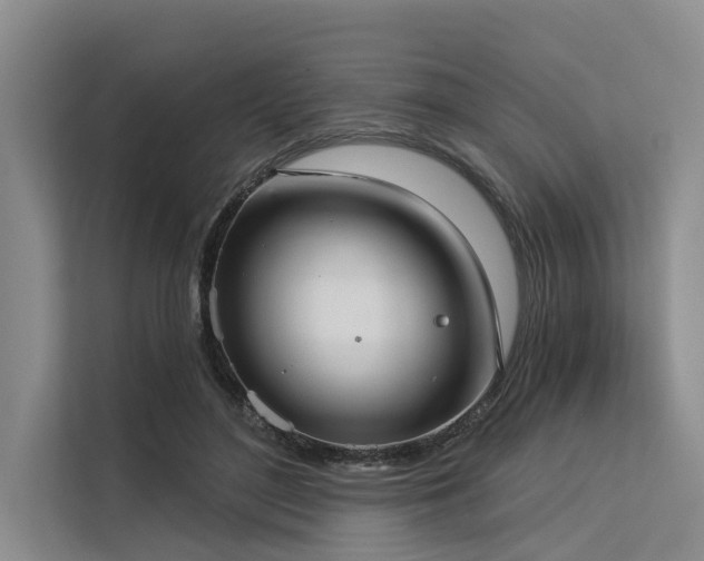 X0000113550500200909181202