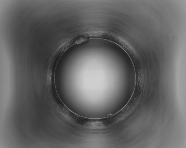 X0000113550501200909181202