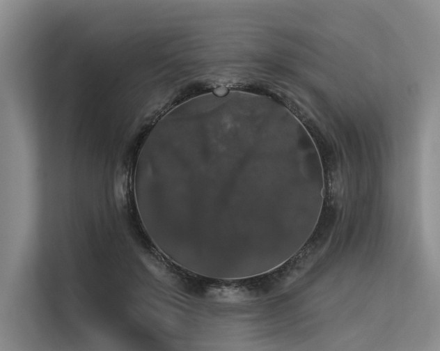 X0000113550503200909181202