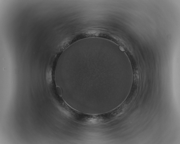 X0000113550504200909181202