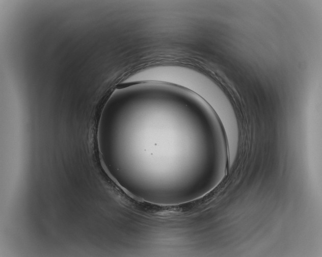 X0000113550505200909181202