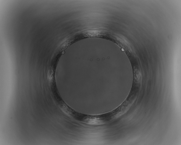 X0000113550507200909181202