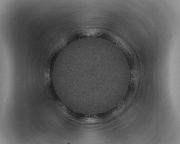 X0000113550510200909181202