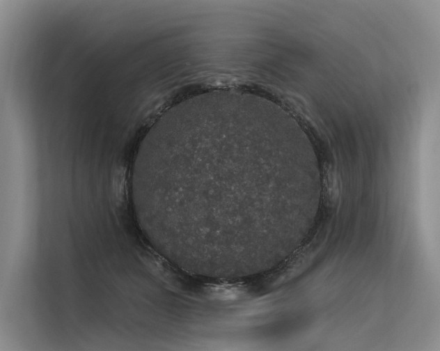 X0000113550511200909181202