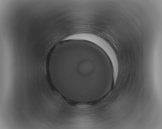 X0000113550512200909181202