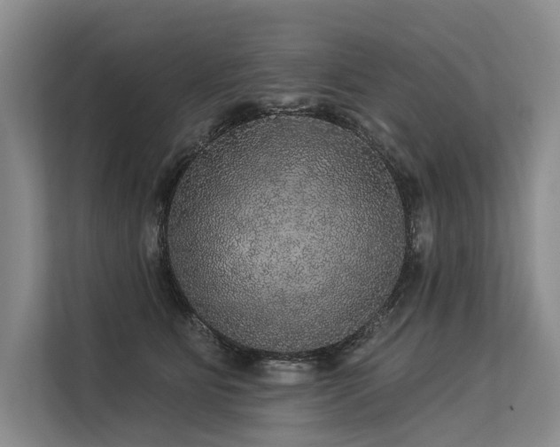 X0000113550515200909181202