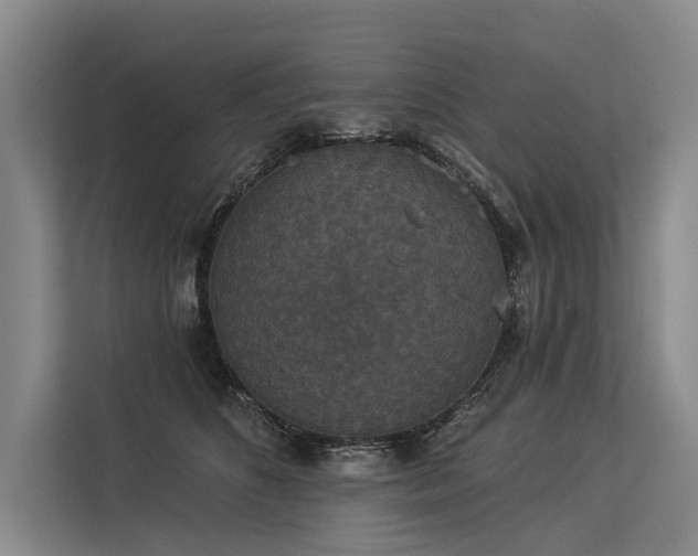 X0000113550516200909181202