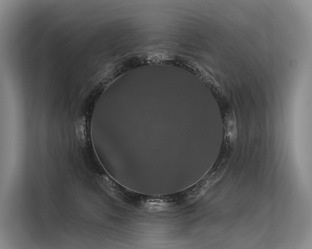 X0000113550519200909181202