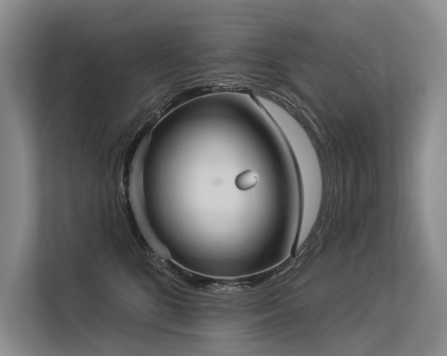 X0000113550520200909181202