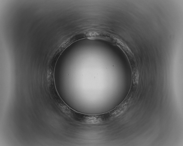 X0000113550521200909181202