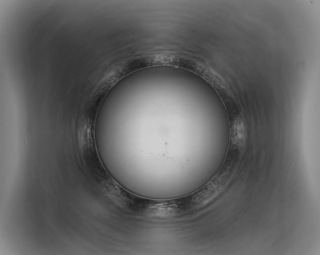 X0000113550522200909181202