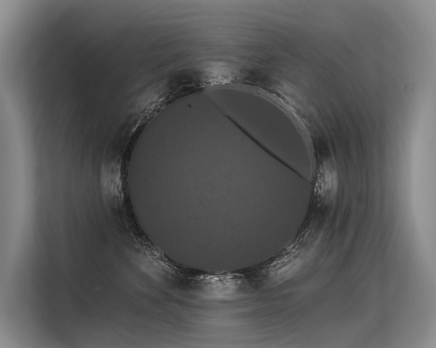 X0000113550524200909181202