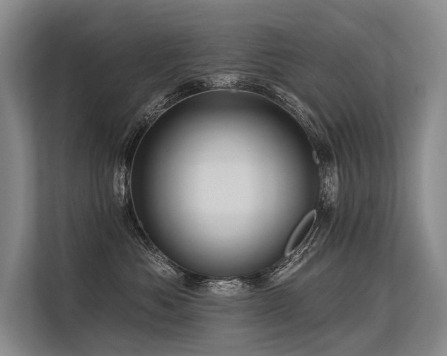 X0000113550525200909181202