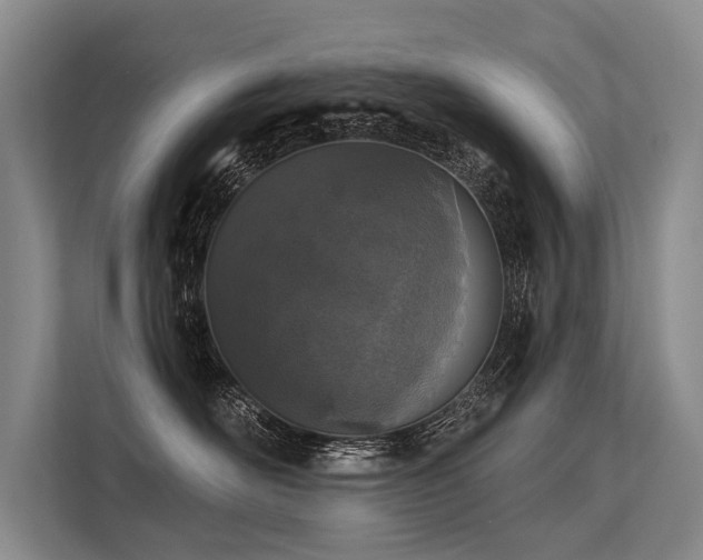 X0000113550526200909181202