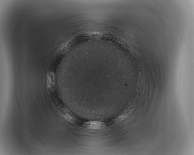 X0000113550528200909181202