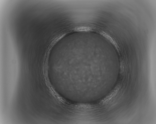 X0000113550529200909181201