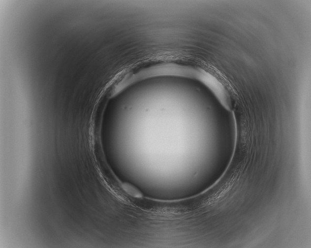 X0000113550530200909181201