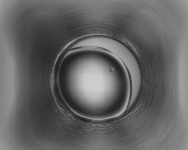 X0000113550532200909181201