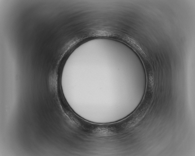 X0000113550534200909181201