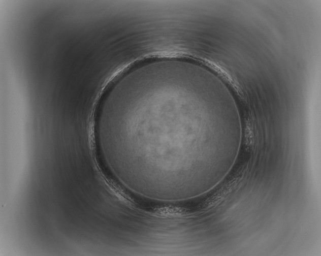 X0000113550535200909181201