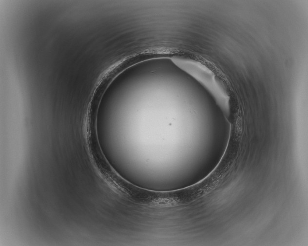 X0000113550536200909181201