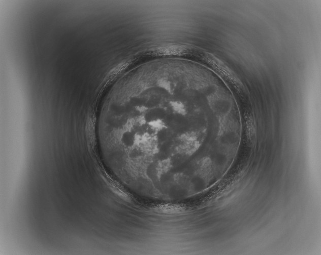 X0000113550537200909181201